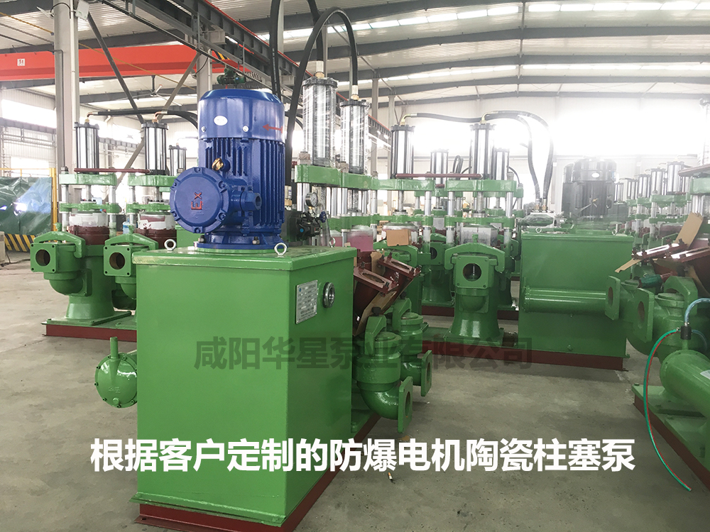 防爆電機陶瓷柱塞泵.jpg